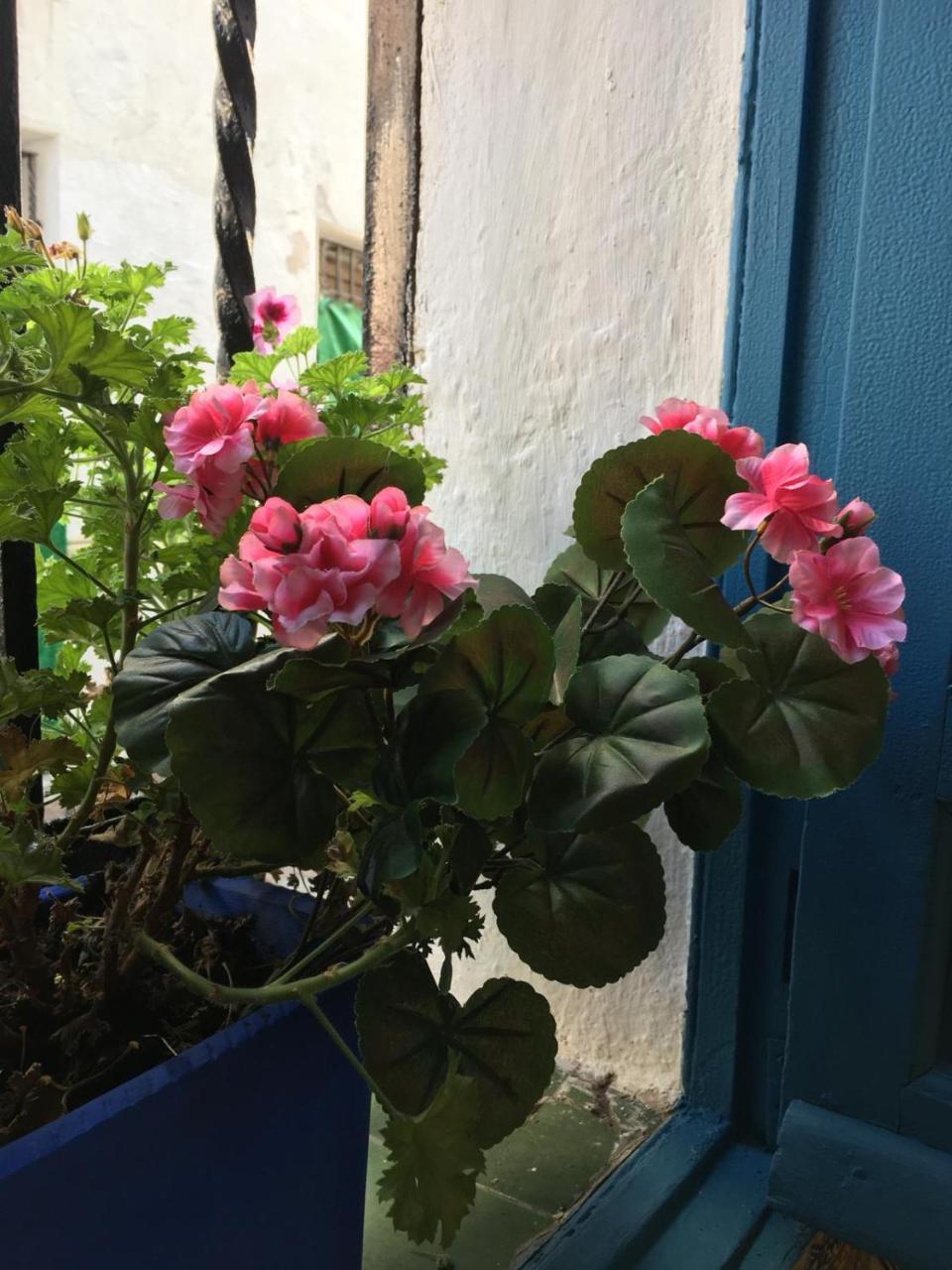 Seneca Hostel Κόρδοβα Εξωτερικό φωτογραφία