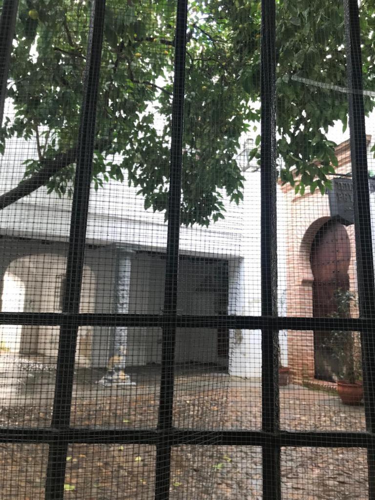 Seneca Hostel Κόρδοβα Εξωτερικό φωτογραφία